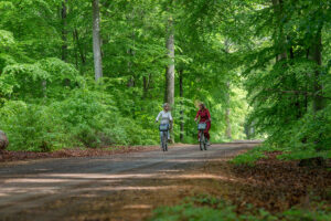 Två cyklister på en skogsväg